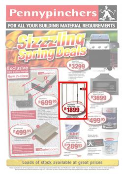 Pennypinchers : Sizzzling Spring Deals (4 Sep - 21 Sep 2013), page 1