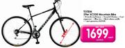 Totem 29er X C200 Mountain Bike 