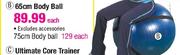 Trojan 65cm Body Ball-Each