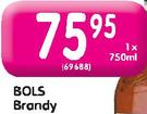 Bols Brandy-750ml