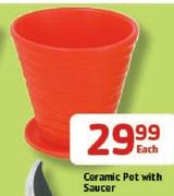 Ceramic Pot With Saucer -Each
