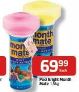 Pool Bright Month Mate-1.5Kg Each