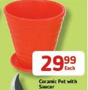 Ceramic Pot With Saucer-Each