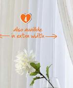Voile Curtains 290x218cm