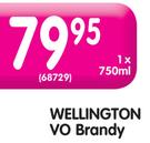 Wellington VO Brandy-750ML