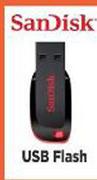 Sandisk 4GB USB Flash