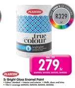 Plascon 5L Bright Gloss Enamel Paint