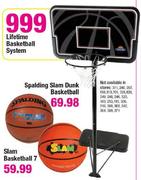 Lifetime Basketball System