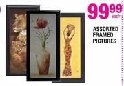 Framed Pictures Assorted-Each