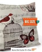 Musical Bird Scatter(55x55Cm)