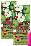 Liquifruit Fruit Juice-24x250ml