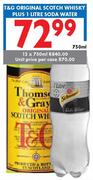 T&G Original Scotch Whisky Plus 1 Litre Soda Water-12 x 750ml