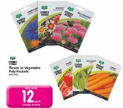 Starke Ayres Flower Or Vegetable Poly Packets-Each