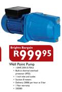 Brights Bargain Well Point Pump