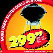 Bush-Baby Kettle Braai-45cm