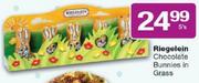 Riegelein Chocolate Bunnies In Grass-5's
