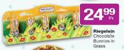 Riegelein Chocolate Bunnies In Grass-5's
