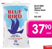 Blue Bird Special Maize Meal-10Kg