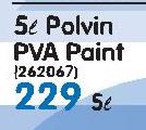 Plascon 5L Polvin PVA Paint