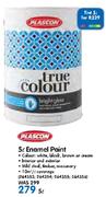 Plascon 5L Enamel Paint