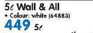 Plascon 5L Wall & All