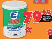 Ecoat White/Cream Acrylic PVA-5L