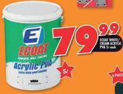 Ecoat White/Cream Acrylic PVA-5L