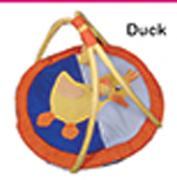 Assorted Polygyms Duck