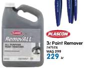 Plascon 3Ltr Paint Remover