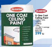 Special Plascon 5ltr One Coat Ceiling Paint Www Guzzle Co Za