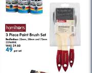 Hamilton's 3 Piece Paint Brush Set