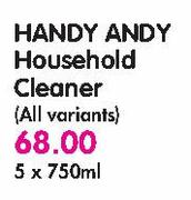 Handy Andy Household Cleaner(All Variants)-5 x 750ml