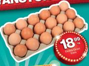  Ekstra Groot Eiers - 18's