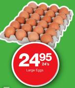 Large Egggs-24's