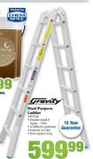 Gravity Dual Purpose Ladder MP7238
