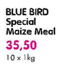 Blue Bird Special Maize Meal-10x1Kg