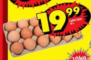 Large Eggs-18's