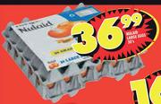 Nulaid Large Eggs-30's