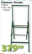 Painter's Trestie 30x30x2.0mm