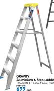 Gravity Aluminium 6 Step Ladder ISL 6