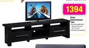 Blake Entertainment Unit