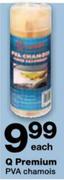 Q Premium Pva Chamois-Each