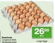 Large Eggs-30's