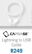 iPhone 5 Capdse Lightning To USB Cable