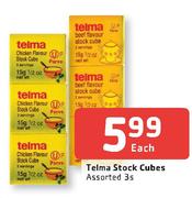 Telma Stock Cubes Assorted-3's Each