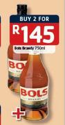 Bols-Brandy-2x750ml
