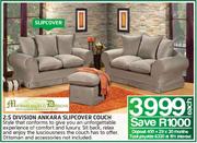 2.5 Division Ankara Slipcover Couch