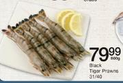 Black Tiger Prawns-31/40 800Gm