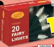Santa's Choice Indoor Non-Flashing Fairy Lights-100's