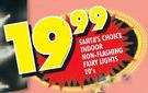 Santa's Choice Indoor Non-Flashing Fairy Lights-20's